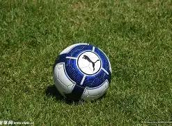 杏彩体育平,台官网入口,资讯,杏彩体育平台官网入口,杏彩体育官方网站,杏彩体育平台首页官网入口,杏彩体育app最新版下载