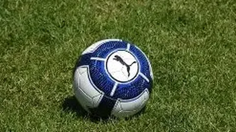 杏彩体育平台官网入口 产品 114323 ovi