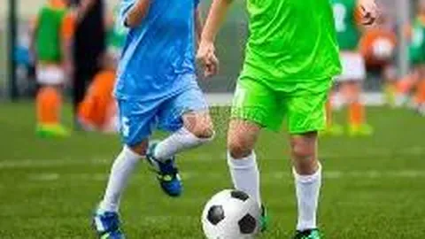 杏彩体育平台官网入口 产品 142105 yjd