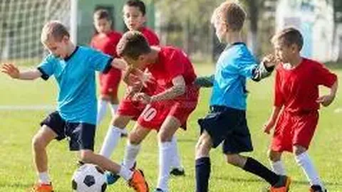 杏彩体育平台官网入口 产品 141058 w9j