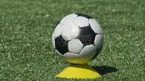 杏彩体育平台官网入口 资讯 142831 d40