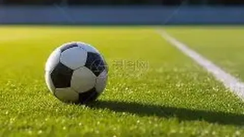 杏彩体育平台官网入口 资讯 111640 1tl